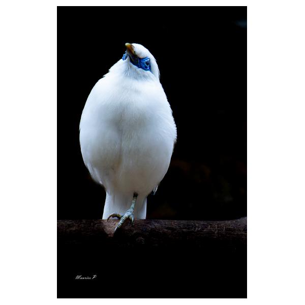 PHOTO84, CLUB, 84 , LUBERON